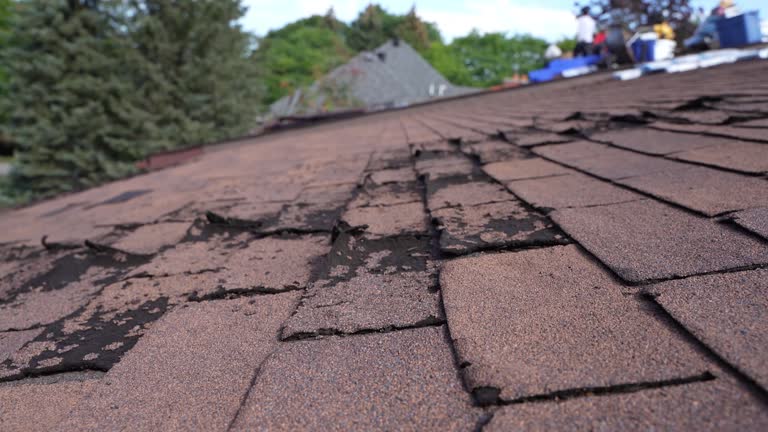 Best Emergency Roof Repair Services  in North Prairie, WI
