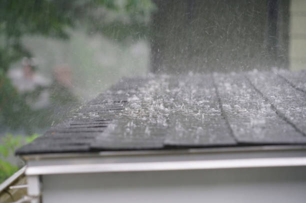 Best Gutter Installation and Repair  in North Prairie, WI