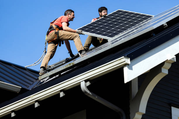 Best Roof Moss and Algae Removal  in North Prairie, WI
